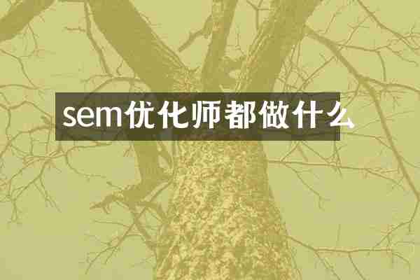 sem優(yōu)化師都做什么