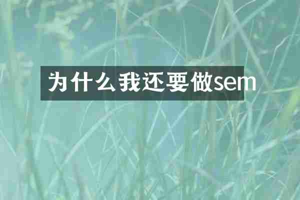 為什么我還要做sem