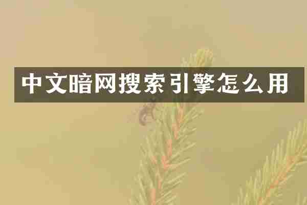 中文暗網(wǎng)搜索引擎怎么用