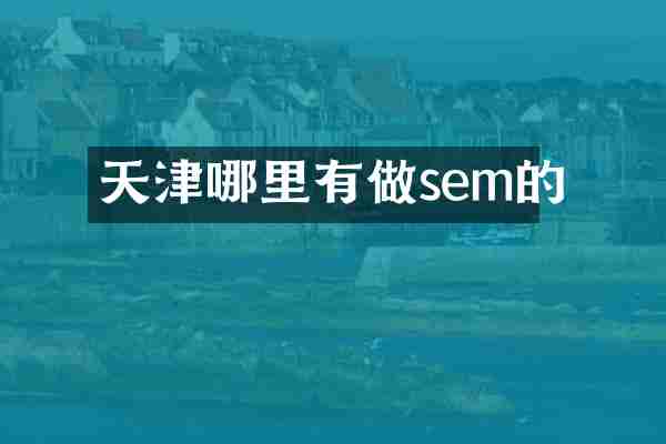 天津哪里有做sem的