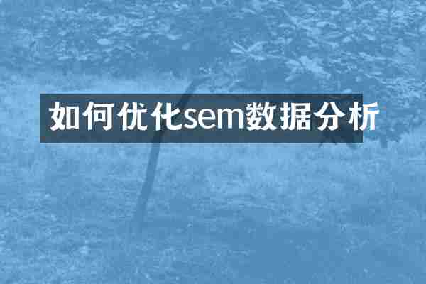 如何優(yōu)化sem數(shù)據(jù)分析