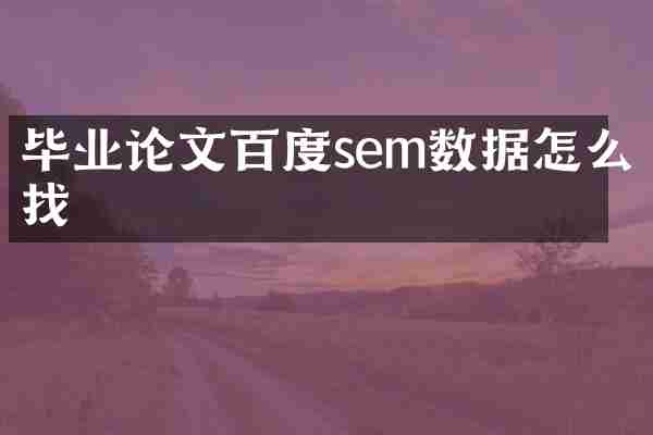 畢業(yè)論文百度sem數(shù)據(jù)怎么找