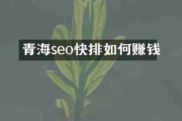 青海seo快排如何賺錢