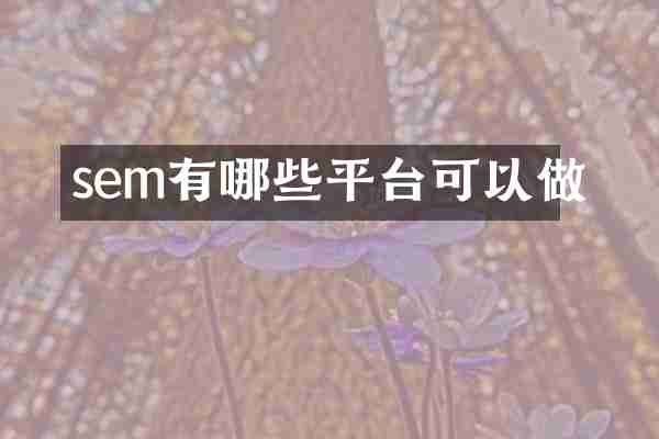 sem有哪些平臺(tái)可以做