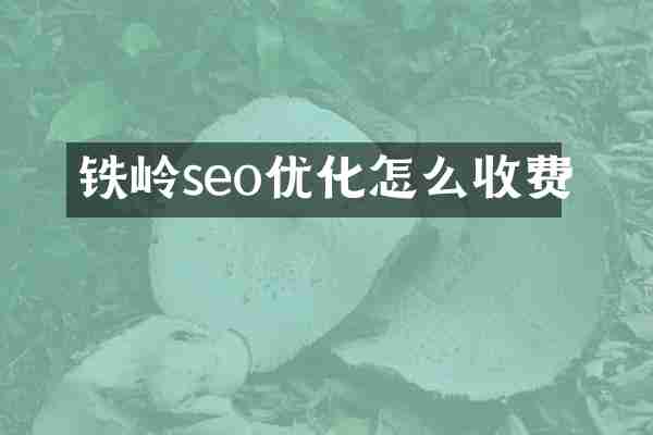 鐵嶺seo優(yōu)化怎么收費(fèi)