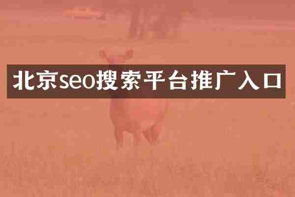 北京seo搜索平臺(tái)推廣入口