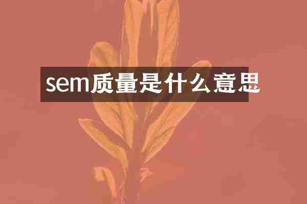 sem質(zhì)量是什么意思