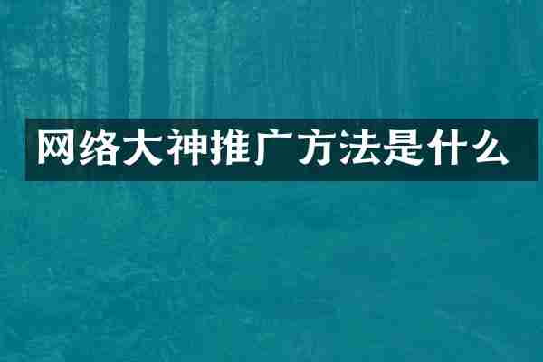 網(wǎng)絡(luò)大神推廣方法是什么