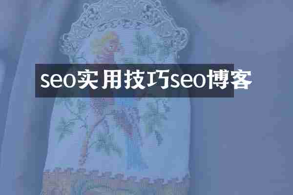 seo實用技巧seo博客