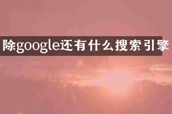 除google還有什么搜索引擎