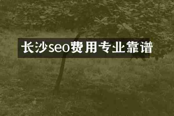 長(zhǎng)沙seo費(fèi)用專業(yè)靠譜