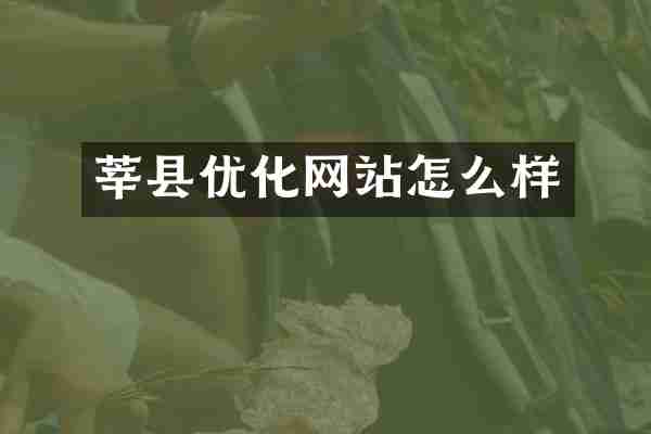 莘縣優(yōu)化網(wǎng)站怎么樣