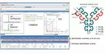 百度蜘蛛池優(yōu)化:外推軟件蜘蛛池在推廣渠道中的應(yīng)用與創(chuàng)新策略解析