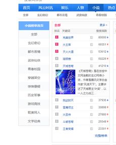 百度小說風(fēng)云榜總榜