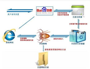 百度蜘蛛池價格:揭秘小旋風(fēng)蜘蛛池漏洞，網(wǎng)絡(luò)安全危機與應(yīng)對策略