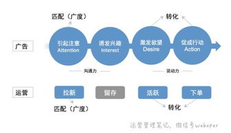 公司運營策劃營銷