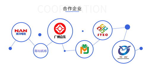 百度蜘蛛池咨詢:高質(zhì)量蜘蛛池網(wǎng)址，助力網(wǎng)站優(yōu)化與SEO提升的利器