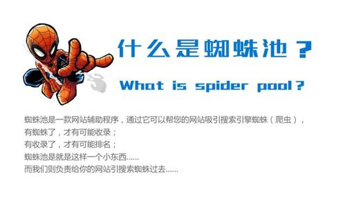 百度蜘蛛池收錄:Spiderpool蜘蛛礦池，揭秘全球領(lǐng)先的去中心化挖礦平臺