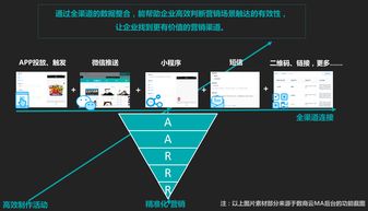 百度蜘蛛池引流:紅蜘蛛池程序免費下載，打造高效自動化任務(wù)利器