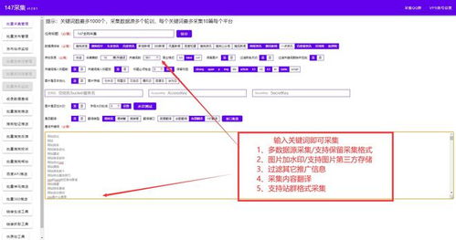 seo排名優(yōu)化軟件有