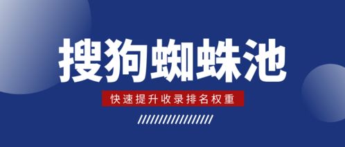 百度蜘蛛池收錄:搜狗蜘蛛池服務(wù)助力百度推廣，網(wǎng)絡(luò)營(yíng)銷(xiāo)新策略