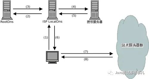 百度蜘蛛池引流:構(gòu)建高效蜘蛛池，一個(gè)域名如何打造蜘蛛網(wǎng)絡(luò)帝國(guó)