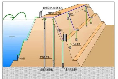 百度蜘蛛池收錄:沉淀池的蜘蛛怎么辦，科學(xué)有效的方法來(lái)應(yīng)對(duì)