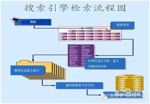 百度蜘蛛池優(yōu)化:蜘蛛池建造流程詳解，從基礎(chǔ)到成型的實用圖文教程