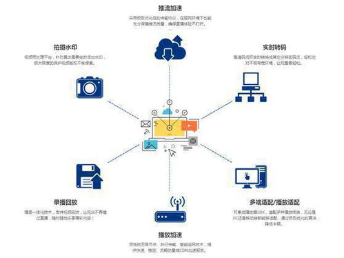 百度蜘蛛池引流:輕松搭建蜘蛛池，新手必看視頻教程詳解