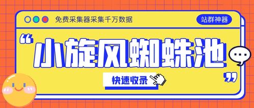 百度蜘蛛池收錄:小旋風(fēng)蜘蛛池使用指南，輕松掌握高效信息搜集技巧