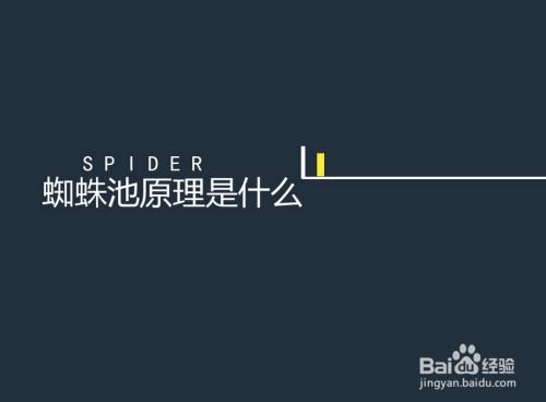 百度蜘蛛池出租:蜘蛛池租用是否便宜？知乎上的熱議與真相揭秘