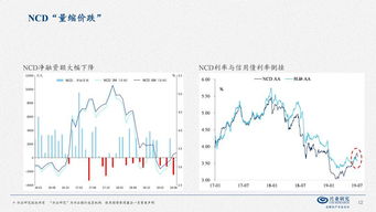 百度蜘蛛池引流:蜘蛛礦池行情波動，市場趨勢與投資策略分析