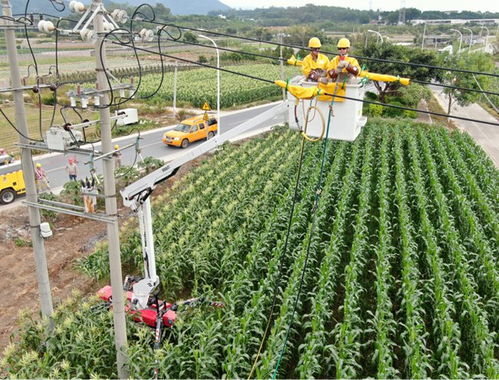 百度蜘蛛池咨詢:蜘蛛池養(yǎng)殖，探索生態(tài)農(nóng)業(yè)新領(lǐng)域，助力鄉(xiāng)村振興新篇章