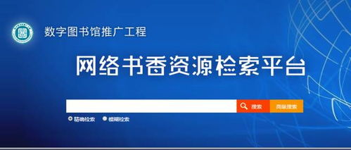 百度蜘蛛池出租:揭秘百度蜘蛛繁殖池，網(wǎng)絡(luò)信息檢索的幕后英雄