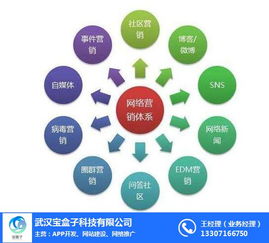 百度蜘蛛池價格:蜘蛛池利用K站，揭秘高效網(wǎng)絡(luò)營銷策略