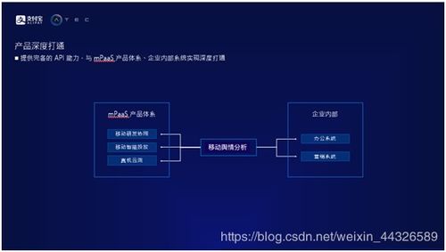 百度蜘蛛池引流:深度解析蜘蛛池在CSDN平臺的應(yīng)用與影響，技術(shù)挑戰(zhàn)與應(yīng)對策略