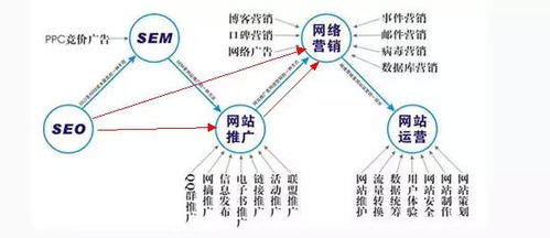 百度蜘蛛池優(yōu)化:蜘蛛池出租運(yùn)營，打造高效網(wǎng)絡(luò)營銷的新選擇