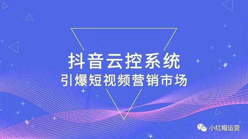 百度蜘蛛池引流:云蜘蛛池外鏈，新時(shí)代SEO策略的破局之道