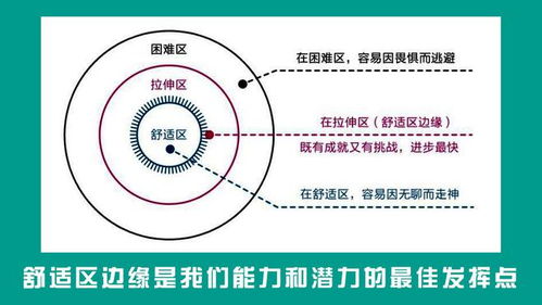 百度蜘蛛池租用:蜘蛛池工作原理圖解，揭秘高效信息抓取的秘密武器