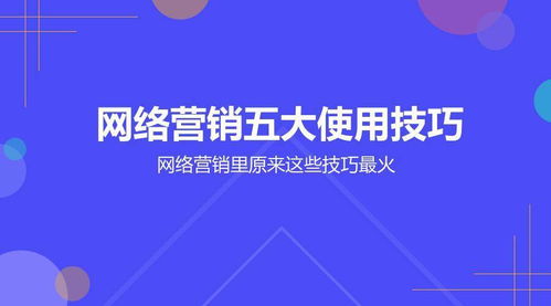 百度蜘蛛池效果:蜘蛛池出租推廣平臺(tái)，開啟高效網(wǎng)絡(luò)營(yíng)銷新篇章