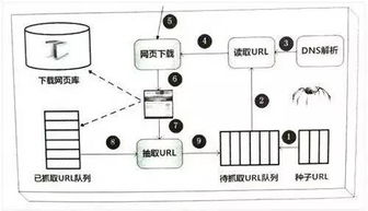 百度蜘蛛池出租:蜘蛛池搭建程序圖解教學，輕松掌握網絡爬蟲搭建技巧