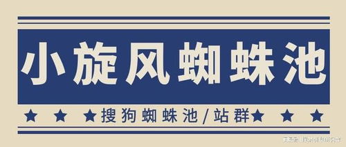 百度蜘蛛池出租:小旋風(fēng)蜘蛛池代搭建，輕松開啟高效SEO之旅