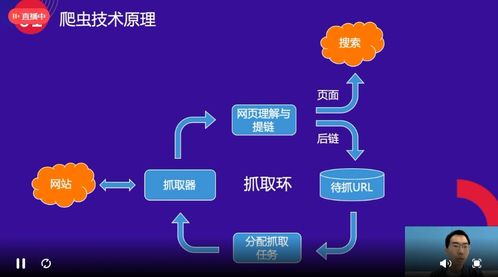 百度蜘蛛池收錄:蜘蛛池布局策略，如何將網(wǎng)站放置在最佳位置