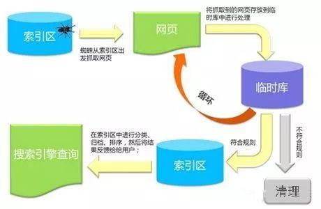 百度蜘蛛池咨詢:探秘老王蜘蛛池官方網(wǎng)站，揭秘高效引流秘籍