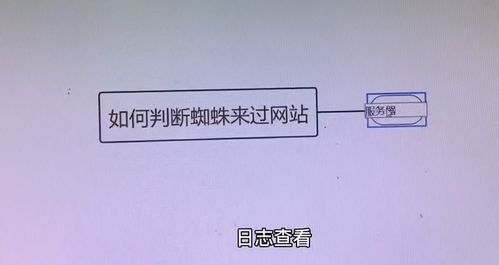 百度蜘蛛池收錄:蜘蛛池技術(shù)原理圖解，揭秘高效信息搜集的秘密武器