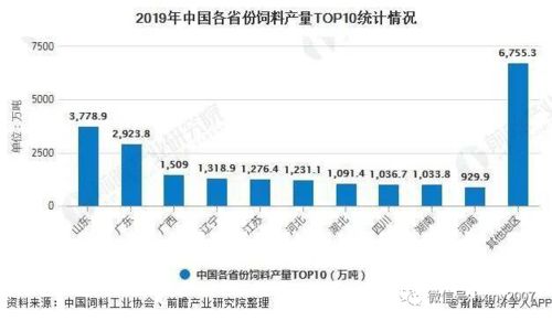 百度蜘蛛池租用:現(xiàn)在蜘蛛池市場分析，現(xiàn)狀、趨勢與未來發(fā)展