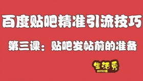 百度蜘蛛池引流:自制蜘蛛池，打造高效捕蛛利器，輕松捕捉家庭害蟲