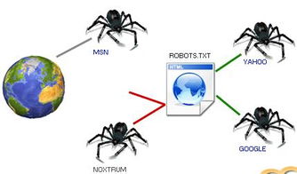 百度蜘蛛池咨詢:揭秘爬蟲繞過蜘蛛池的技巧，突破限制，高效信息獲取