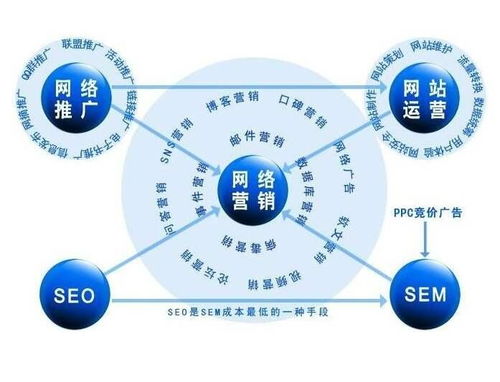 百度蜘蛛池價格:揭秘效果卓越的蜘蛛池，網(wǎng)絡營銷的得力助手