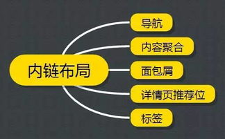 百度蜘蛛池優(yōu)化:揭秘最佳蜘蛛池，網(wǎng)絡信息搜集者的圣地